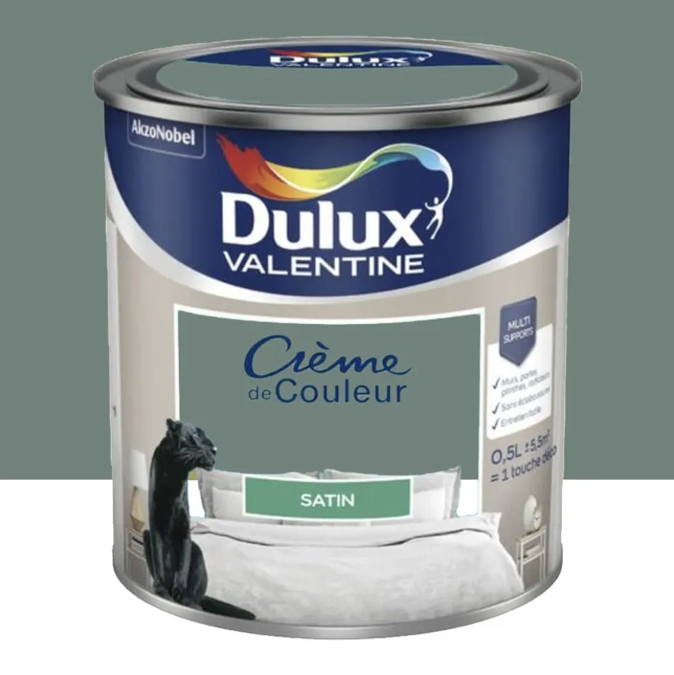 Peinture multi-supports Dulux Valentine Crème de Couleur Satin Vert céladon