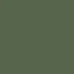 Peinture multi-supports Dulux Valentine Crème de Couleur Satin Vert tropical