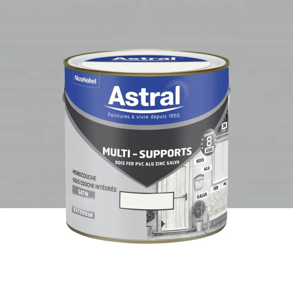 Peinture multi-supports extérieur ASTRAL Gris Franc