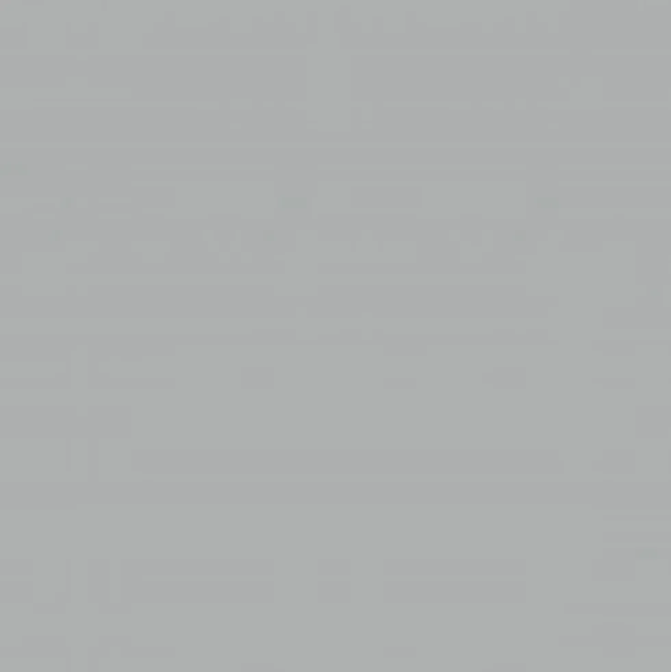Peinture multi-supports extérieur ASTRAL Gris Franc