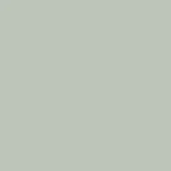 Peinture multi-supports Maison Déco Relook Meubles Les couleurs Satin Vert céladon