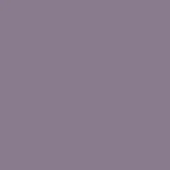 Peinture multi-supports NUANCE MonoCrème Mat AnéMauve