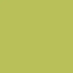 Peinture multi-supports NUANCE MonoCrème Satin Green