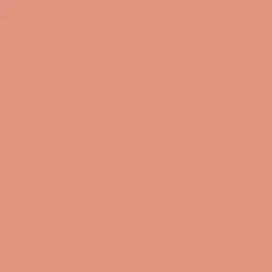 Peinture multi-supports NUANCE MonoCrème Satin Flamant