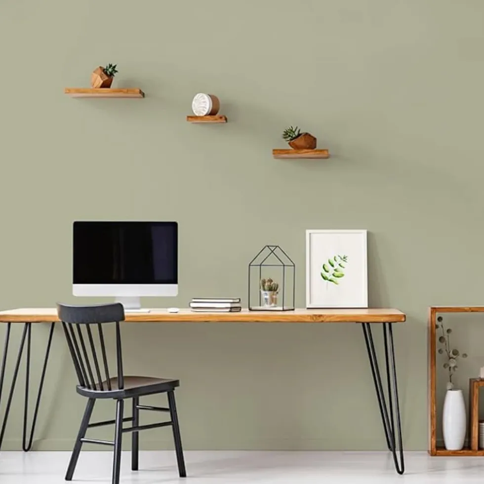 Peinture Murs, Boiseries, Radiateurs RIPOLIN Velours Vert gaspesie