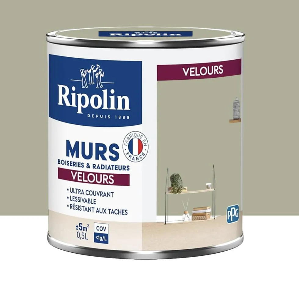 Peinture Murs, Boiseries, Radiateurs RIPOLIN Velours Vert gaspesie