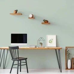 Peinture Murs, Boiseries, Radiateurs RIPOLIN Velours Vert palatino
