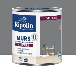 Peinture Murs, Boiseries, Radiateurs RIPOLIN Velours Gris ardoise