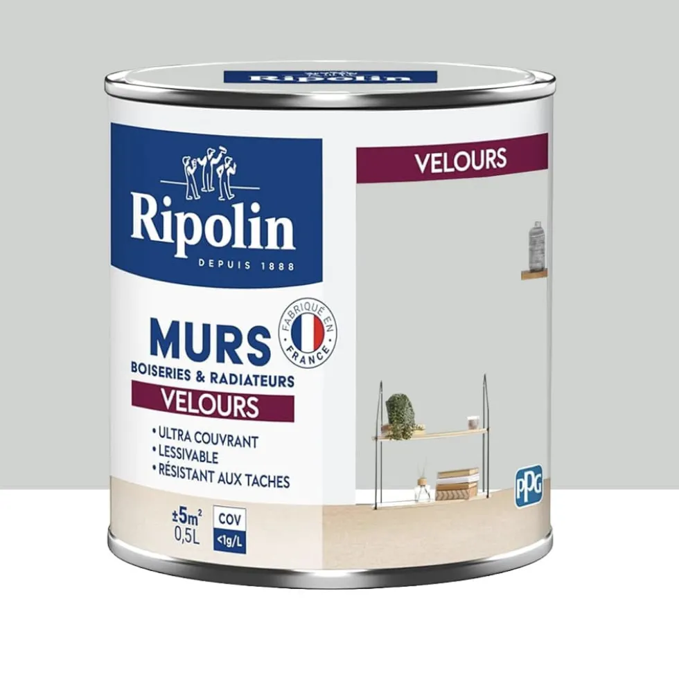 Peinture Murs, Boiseries, Radiateurs RIPOLIN Velours Gris lomé