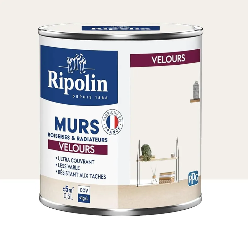Peinture Murs, Boiseries, Radiateurs RIPOLIN Velours Blanc Aspen