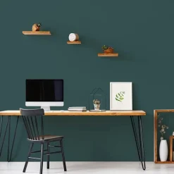 Peinture Murs, Boiseries, Radiateurs RIPOLIN Velours Vert armerie