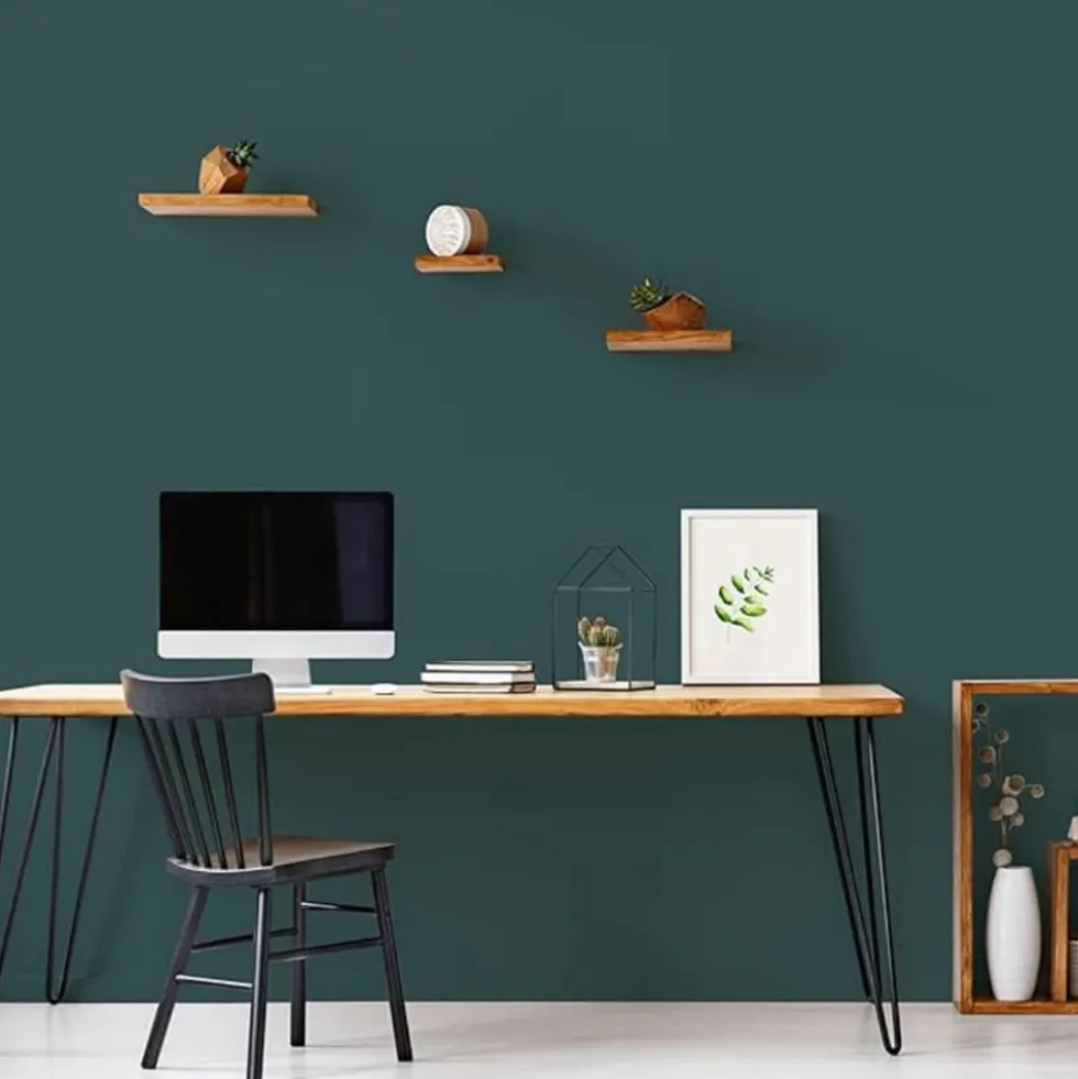 Peinture Murs, Boiseries, Radiateurs RIPOLIN Velours Vert armerie