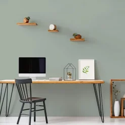 Peinture Murs, Boiseries, Radiateurs RIPOLIN Velours Vert ficus