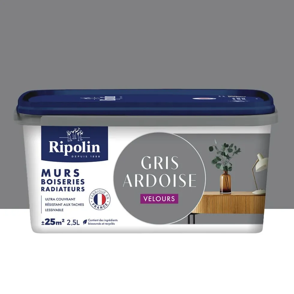Peinture murs, boiseries, radiateurs RIPOLIN Velours Gris Ardoise