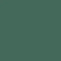 Peinture Murs, Boiseries, Radiateurs RIPOLIN OPur Satin velouté Vert zapfino NP