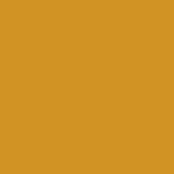 Peinture Murs, Boiseries, Radiateurs RIPOLIN OPur Satin velouté Jaune ambré NP