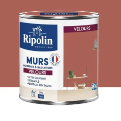 Peinture Murs, Boiseries, Radiateurs RIPOLIN Velours Rouge chianti