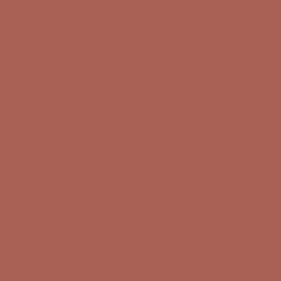 Peinture Murs, Boiseries, Radiateurs RIPOLIN Velours Rouge chianti