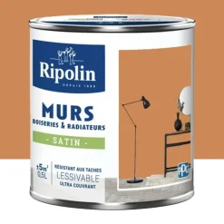 Peinture Murs, Boiseries, Radiateurs RIPOLIN Satin Ocre salentina