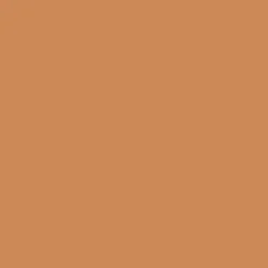Peinture Murs, Boiseries, Radiateurs RIPOLIN Satin Ocre salentina