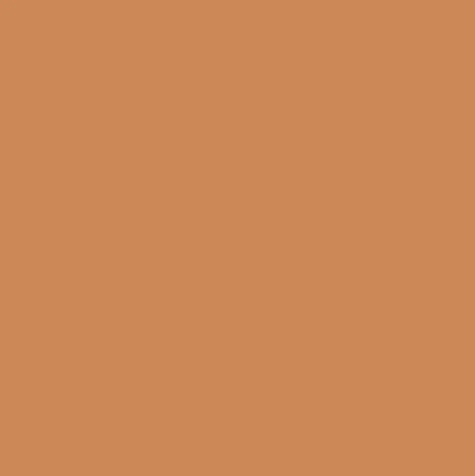 Peinture Murs, Boiseries, Radiateurs RIPOLIN Satin Ocre salentina