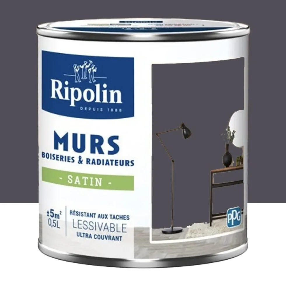 Peinture Murs, Boiseries, Radiateurs RIPOLIN Satin Violet duc