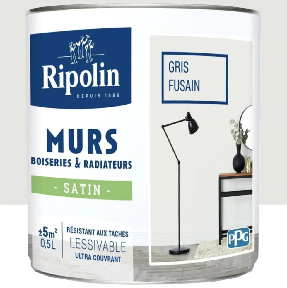 Peinture Murs, Boiseries, Radiateurs RIPOLIN Gris fusain Satin