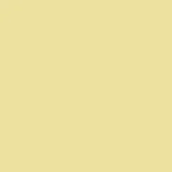 Peinture Murs, Boiseries, Radiateurs RIPOLIN Satin Jaune sinding