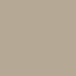 Peinture Murs, Boiseries, Radiateurs RIPOLIN Satin Beige cachemire