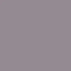 Peinture Murs, Boiseries, Radiateurs RIPOLIN Satin Violet alouette