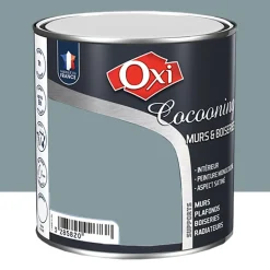 Peinture Murs et Boiseries OXI Cocooning Acier
