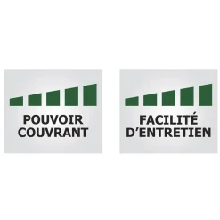 Peinture Murs, Plafonds, Boiseries & Radiateurs RIPOLIN XPro3 Blanc Satin