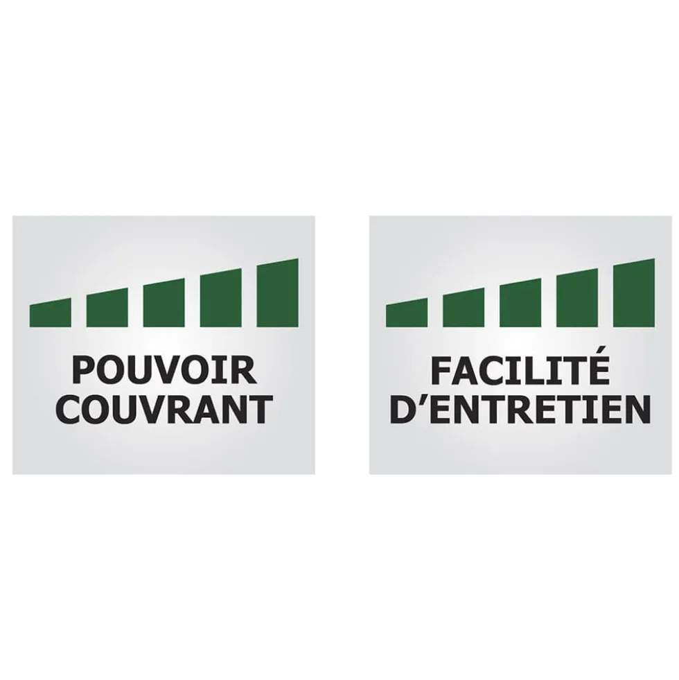 Peinture Murs, Plafonds, Boiseries & Radiateurs RIPOLIN XPro3 Blanc Satin