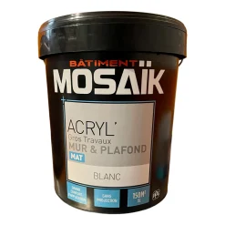 Peinture Murs & Plafonds MOSAÏK Acryl' Blanc mat