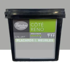 Peinture Placards & Meubles Théodore CÔTÉ RÉNO Satin Béton