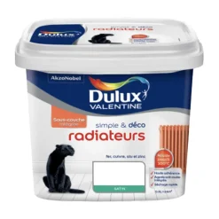 Peinture Radiateurs Dulux Valentine Simple & Déco Blanc