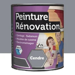 Peinture Rénovation pour cuisine BÂTIR Cendre