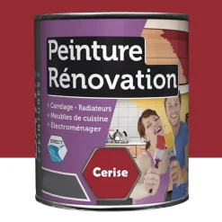 Peinture Rénovation pour cuisine BÂTIR Cerise
