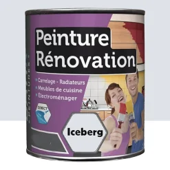 Peinture Rénovation pour cuisine BÂTIR Iceberg