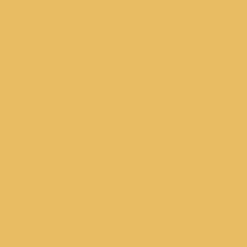 Peintures BÂTIR Multi Colors Mat Poudré Jaune indien