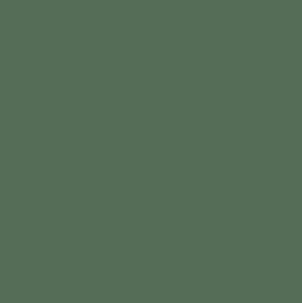 Peintures BÂTIR Multi Colors Mat Poudré Cèdre vert