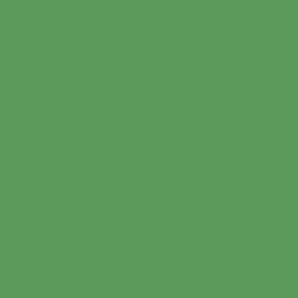 Peintures BÂTIR Multi Colors Mat Poudré Vert oasis