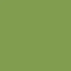 Peintures Multi Colors BÂTIR Satin Soyeux Vert Amazonie