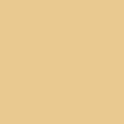 Peintures Multi Colors BÂTIR Satin Soyeux Champagne
