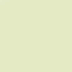 Peintures Multi Colors BÂTIR Satin Soyeux Vert pastel