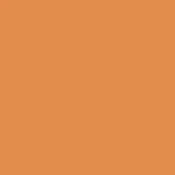 Peintures Multi Colors BÂTIR Satin Soyeux Zeste d'été