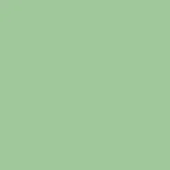 Peintures Multi Colors BÂTIR Satin Soyeux Vert tonique