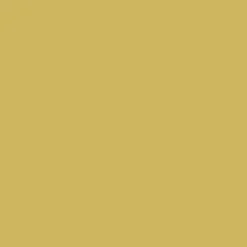 Peintures Multi Colors BÂTIR Vert Chartreuse Satin Soyeux