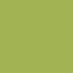 Peintures Multi Colors BÂTIR Vert Prairie Satin Soyeux