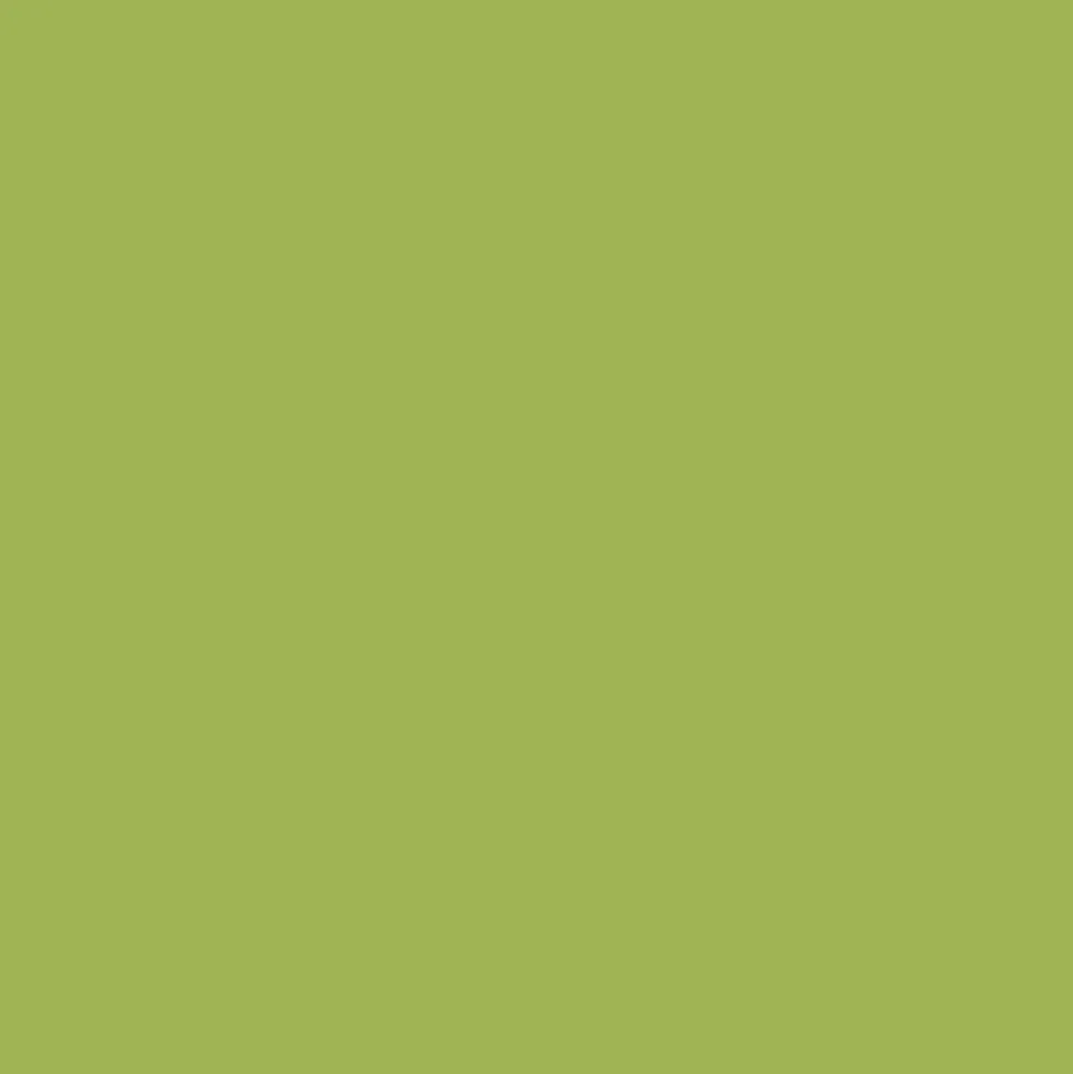 Peintures Multi Colors BÂTIR Vert Prairie Satin Soyeux